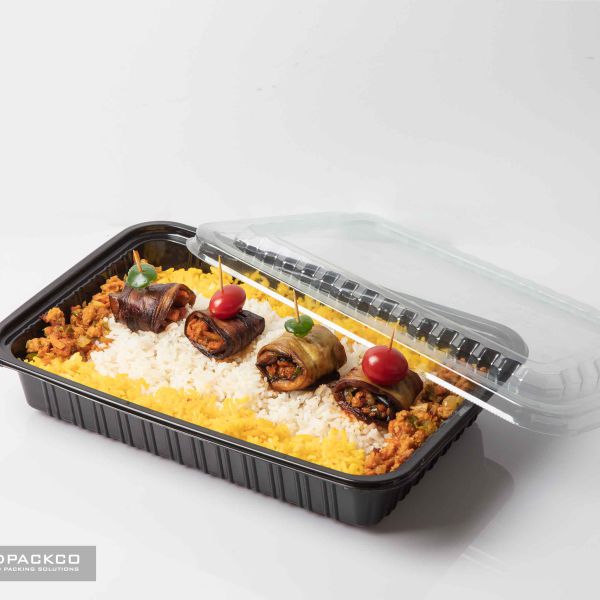 دیس تک خانه یکبارمصرف مستطیل