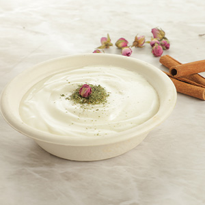 خرید کاسه گیاهی بدون درب