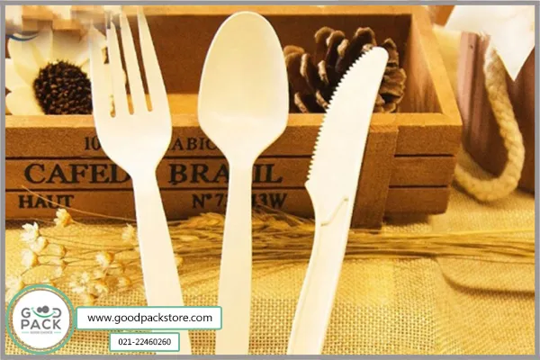 کاربرد استفاده از پک کاتلری یک بار مصرف در دنیای امروز بسیار زیاد است