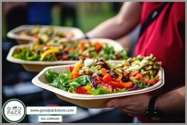 قیمت دیس گیاهی یکبار مصرف و بشقاب گیاهی به عوامل مختلفی بستگی دارد.